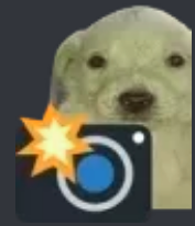 dogsnap.PNG